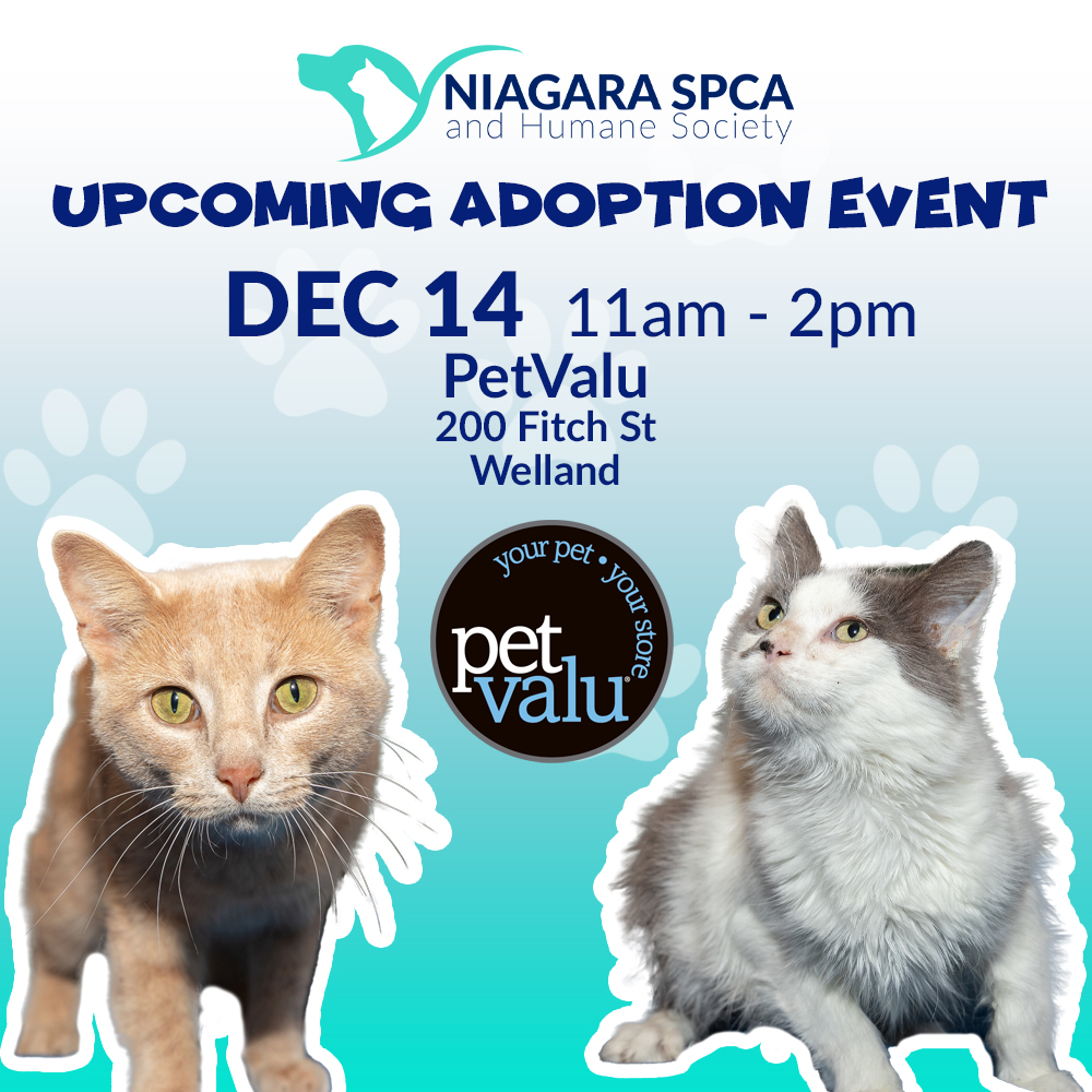 December 2024 Niagara SPCA and Humane Society